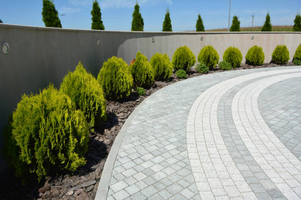 Reasons to Select Us for Your Driveway Paving Requirements in Albany, KY
